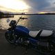 Illustration for article titled Goldwing Photo Dump
